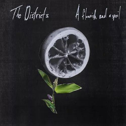 A Flourish And A Spoil - The Districts