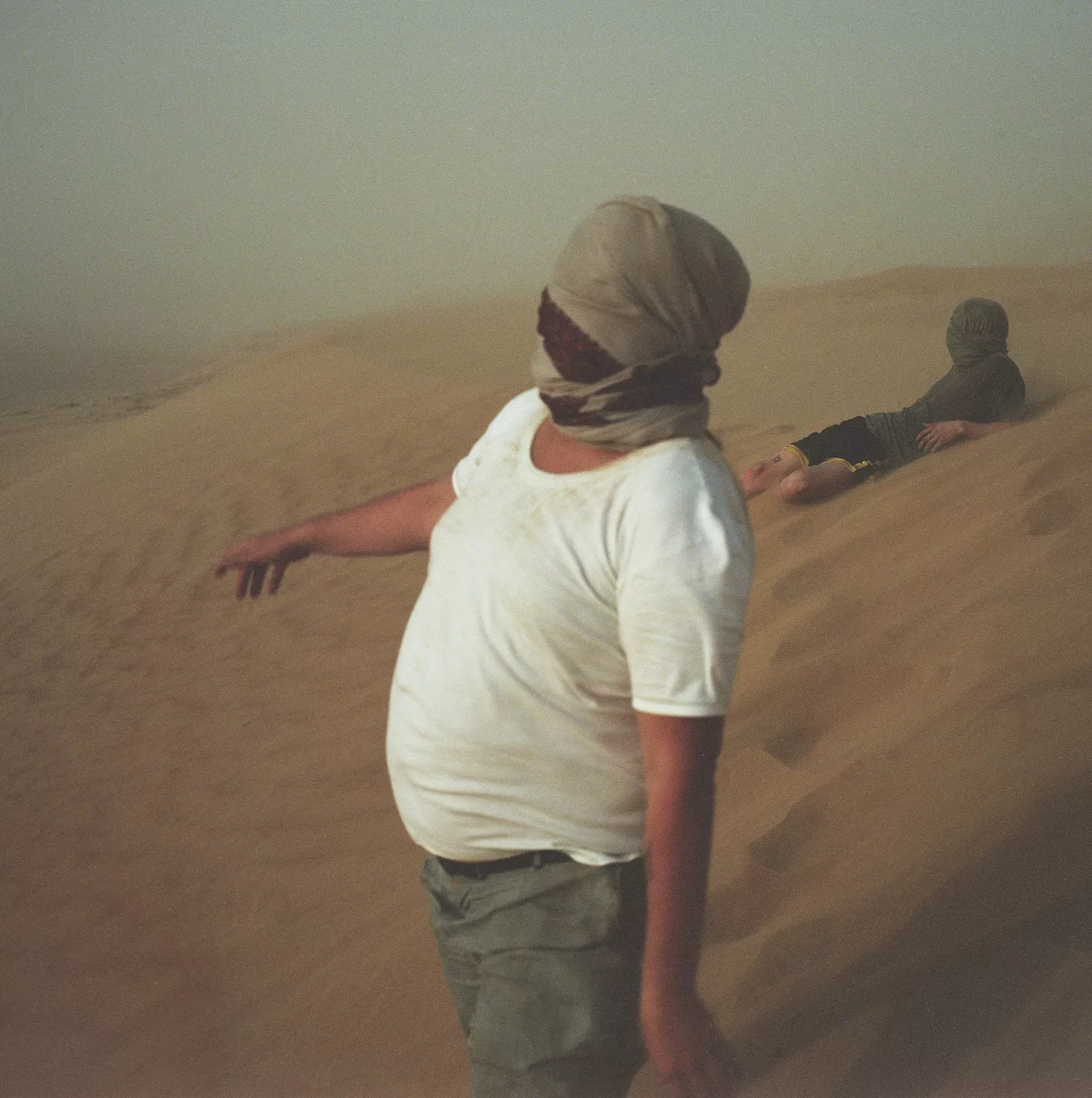 Tending to the Vulnerable Things - M. Rexen