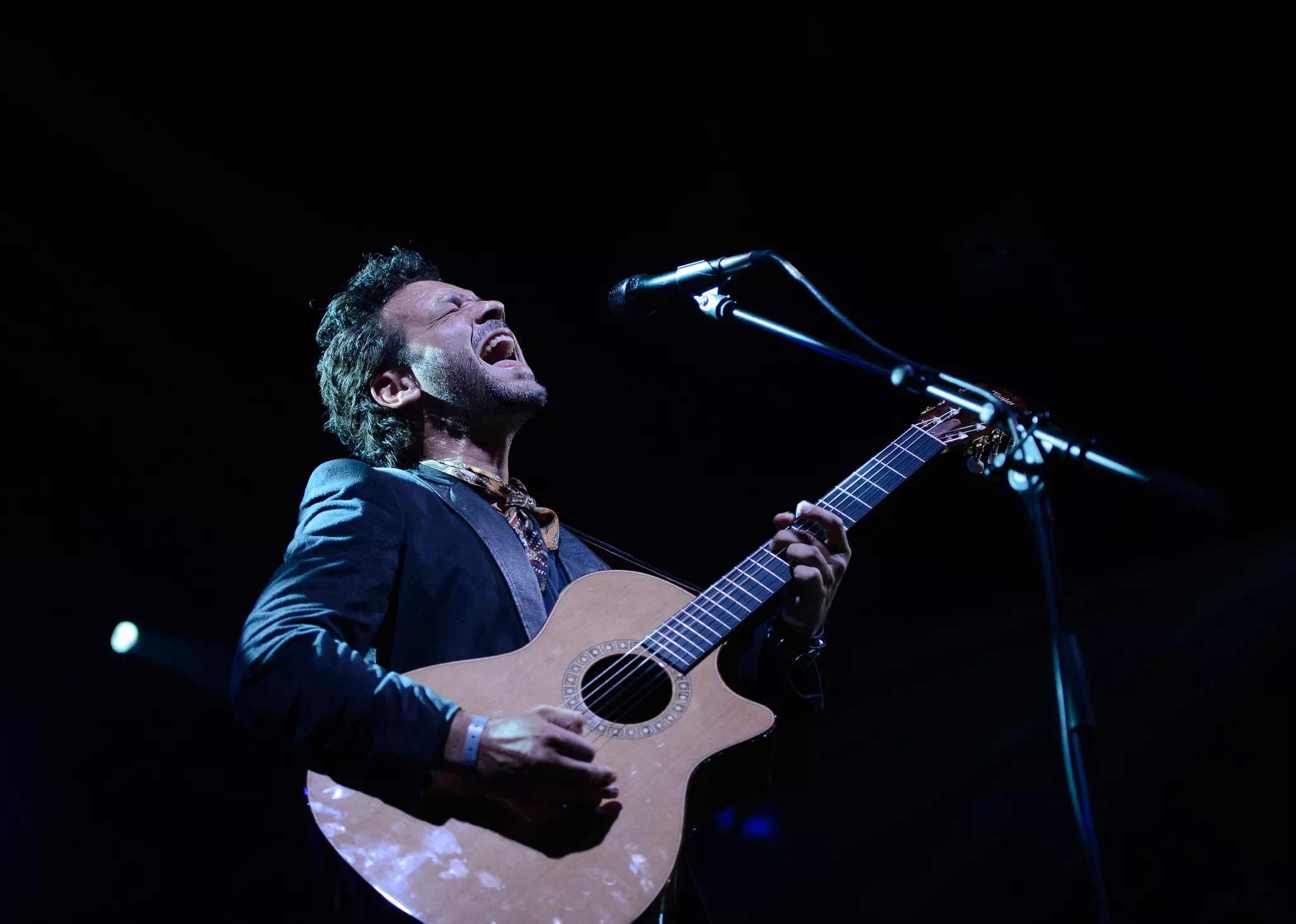 Adam Cohen : Tønder Festival, Telt 1