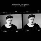 Uddannet i at være underlig - Peter Brandt