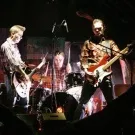 Schwarzwald Library på Stengade 30