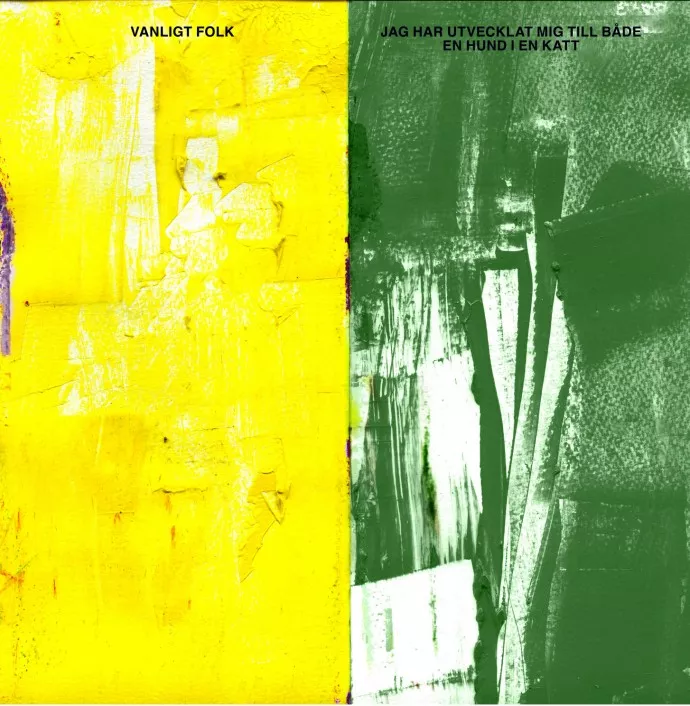 Här är årets bästa albumtitlar