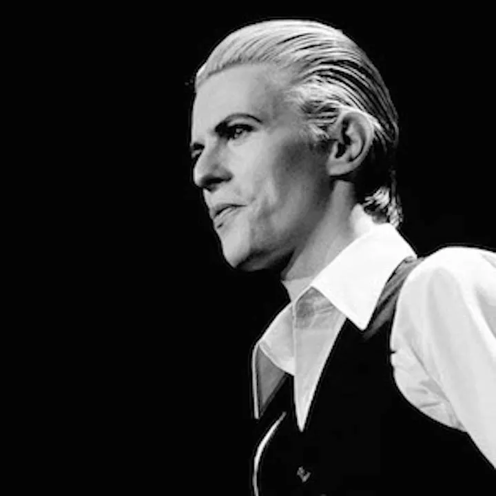 Byd på nogle af stjernefotografen Jørgen Angels bedste pletskud 