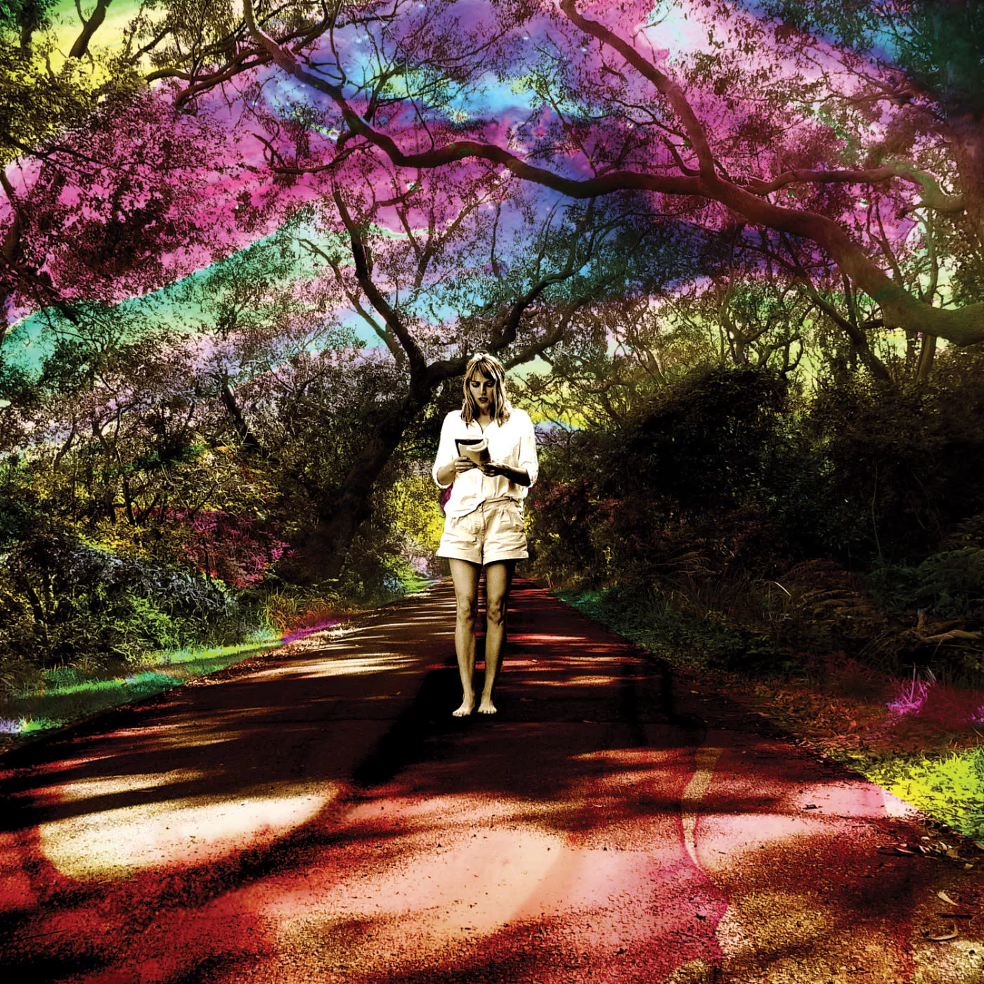 Hey Daydreamer - Sally Seltmann