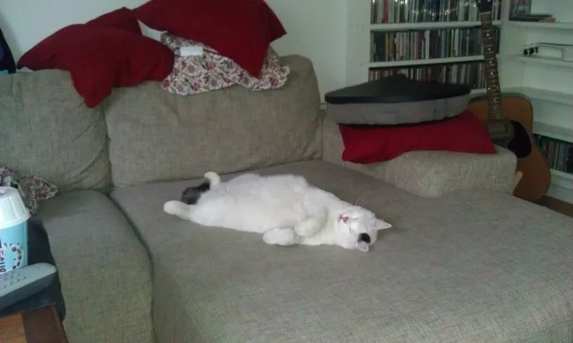 9 anledningar att välja soffan före festivalen