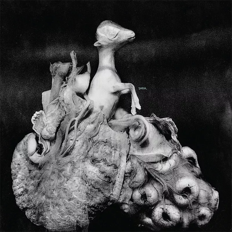 Sara, - Johan Heltne