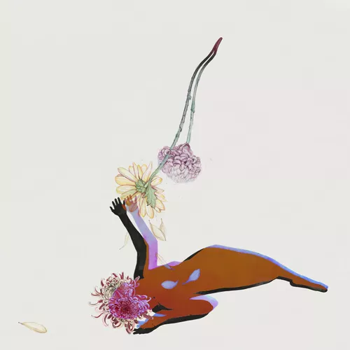 The Far Field - Future Islands