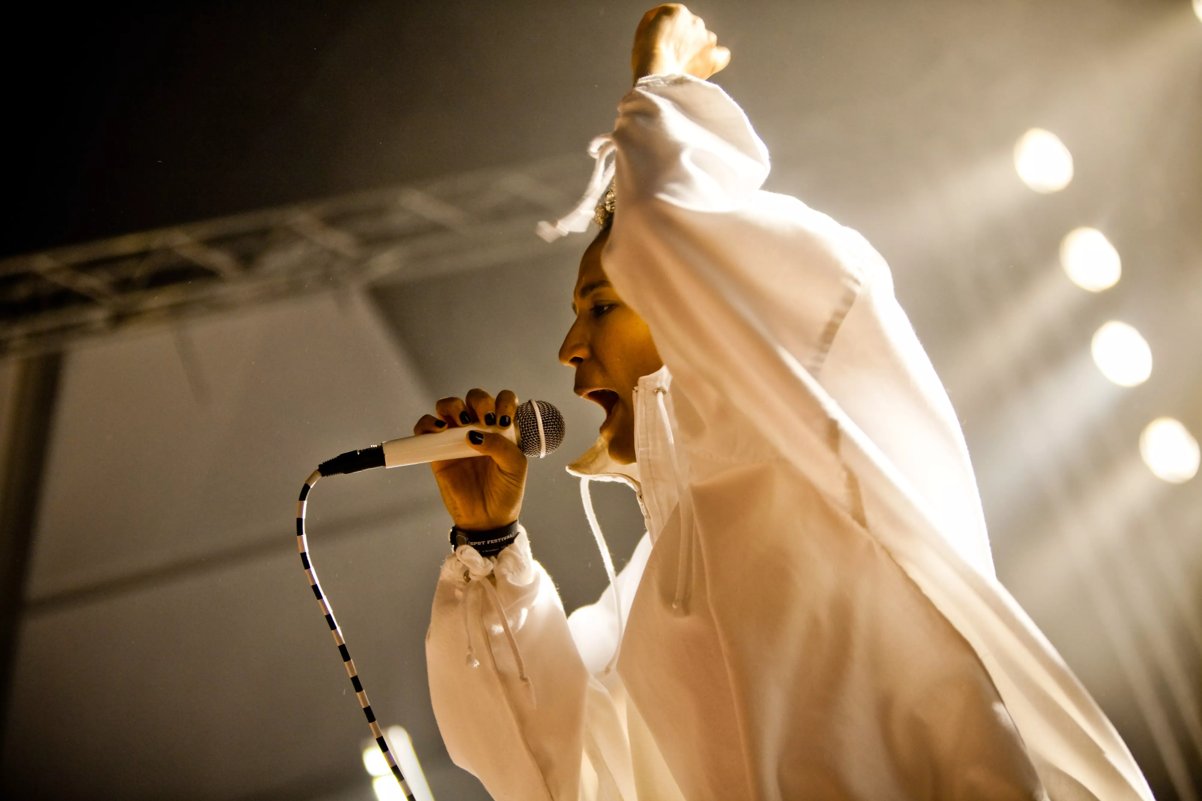 Danske navne til EuroSonic