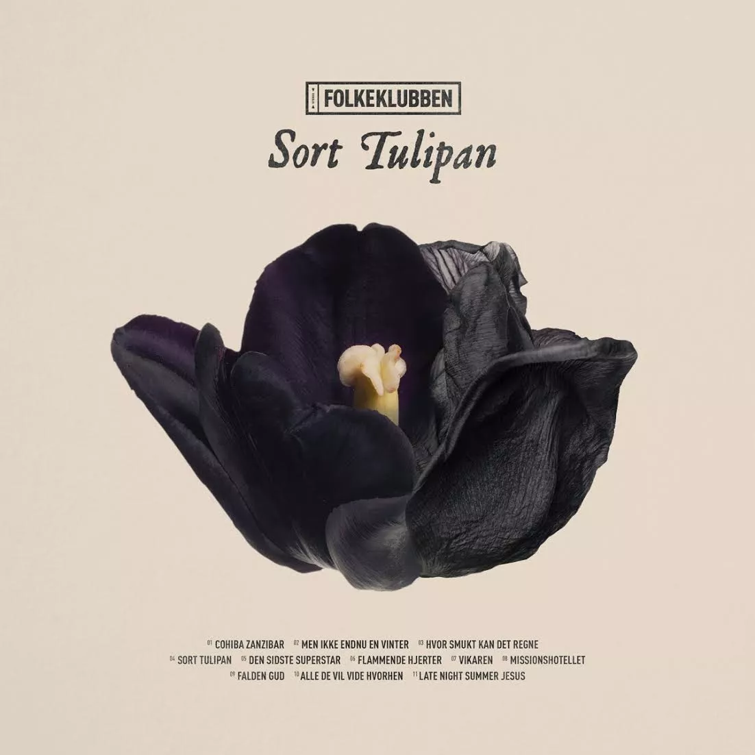 Sort tulipan - Folkeklubben