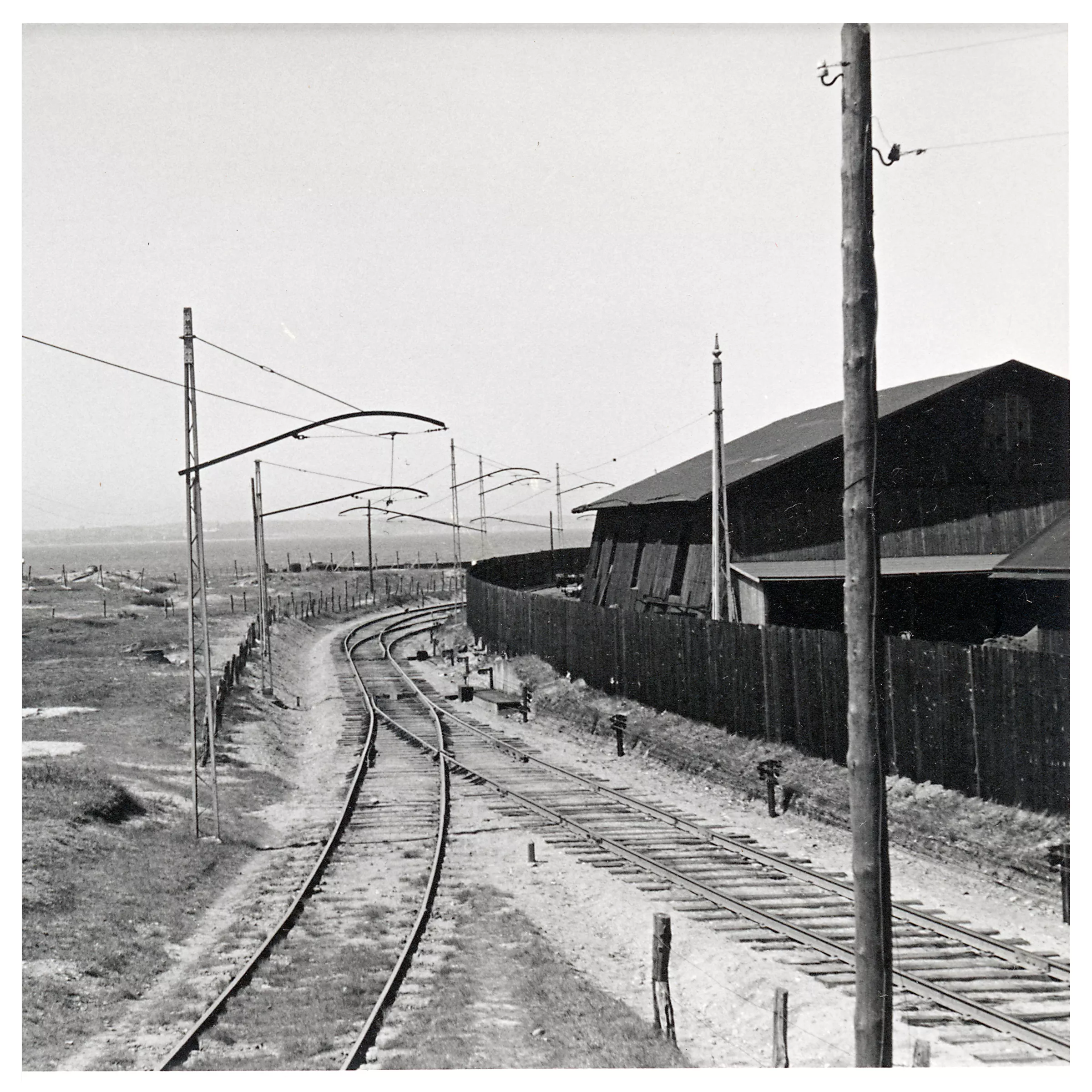Obegripligt projekt från Cardigans-medlem