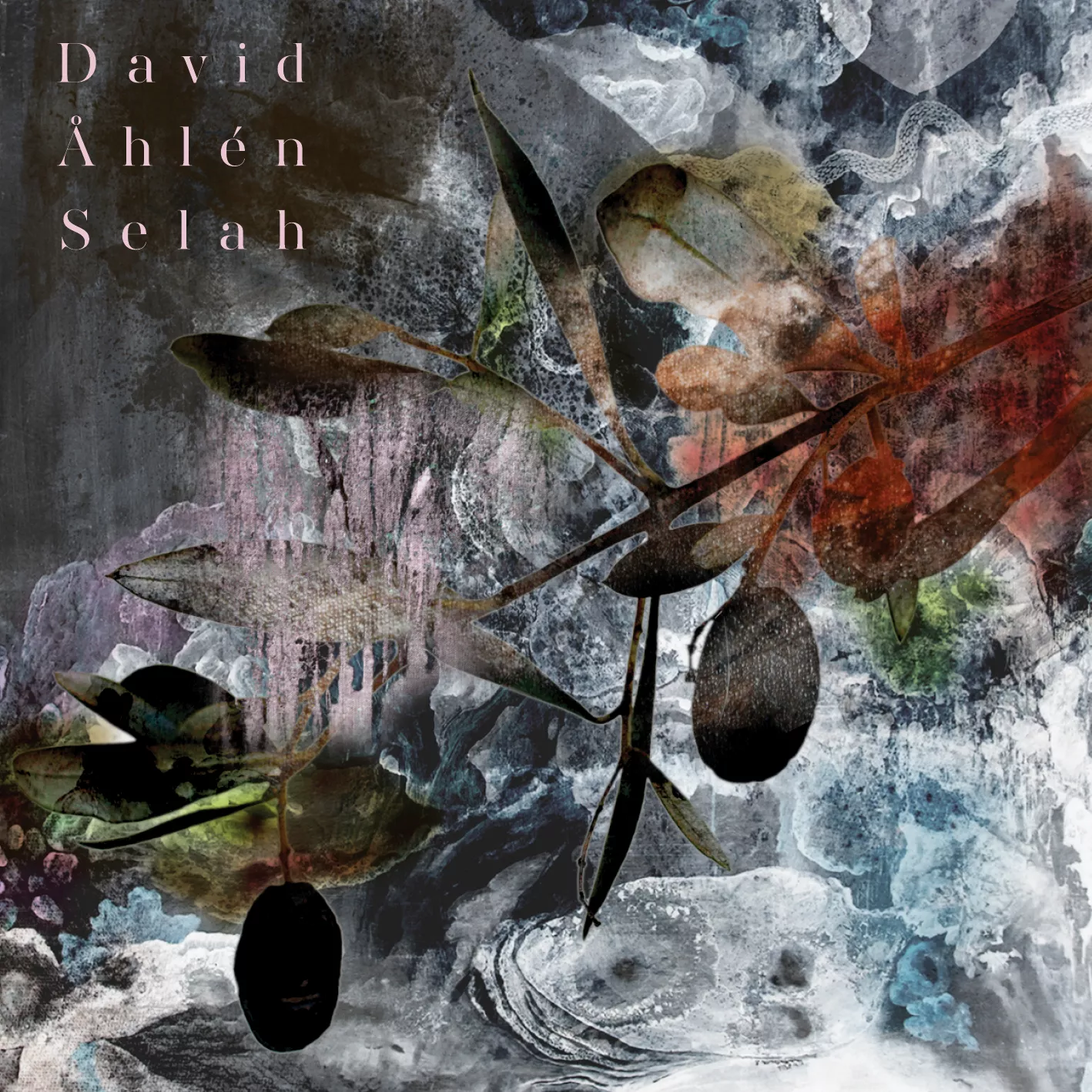 Selah - David Åhlén