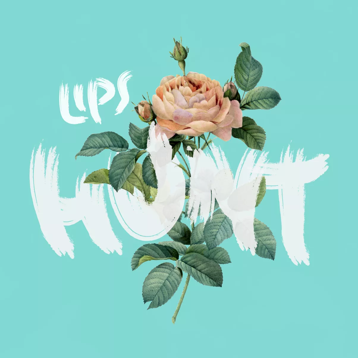 HUNT - LIPS