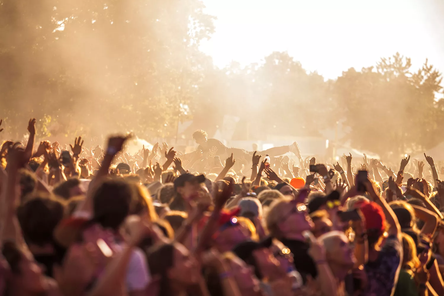 PROFESSOR: "Festivalsæsonen kan muligvis være reddet"