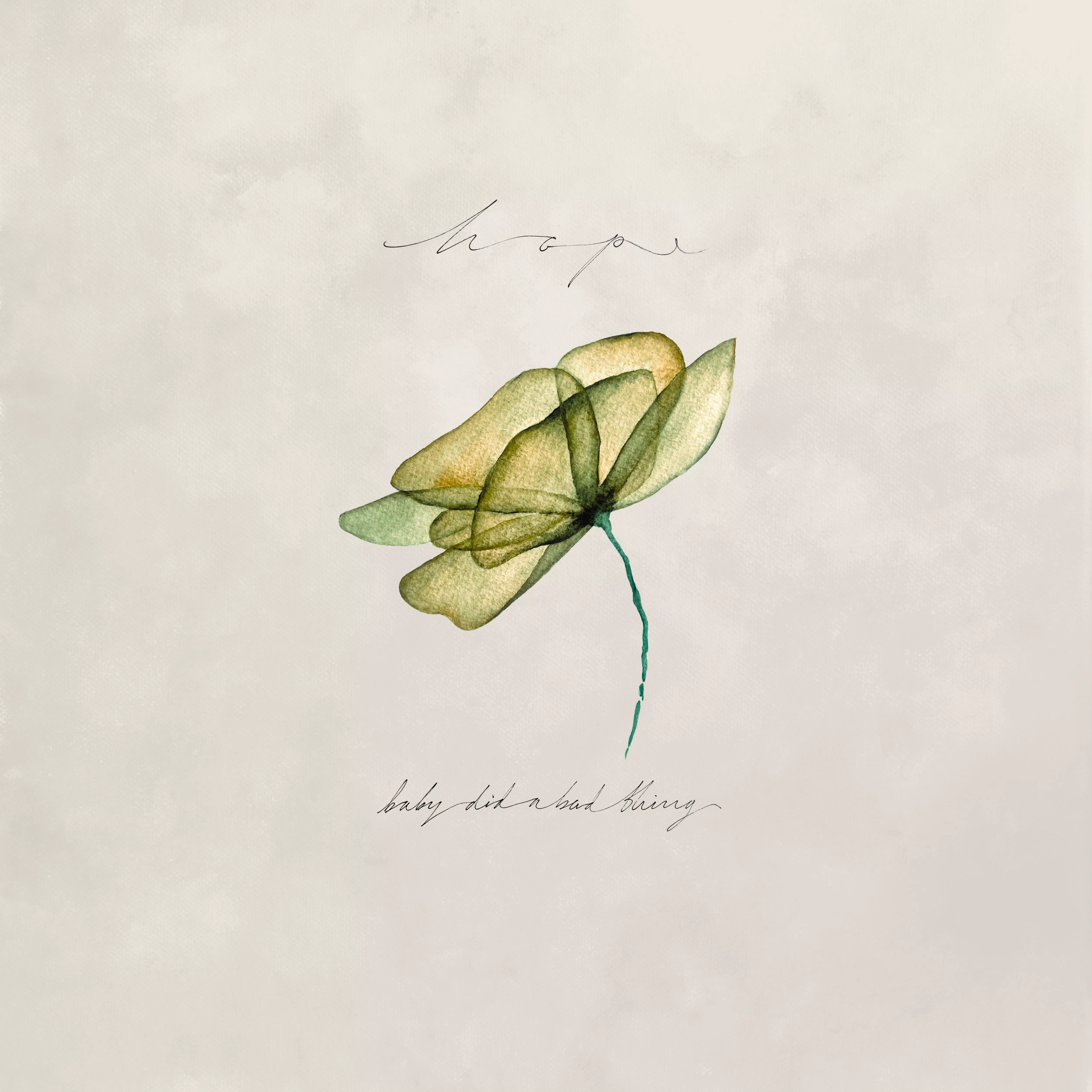 Hope  - Bady Did a Bad Thing