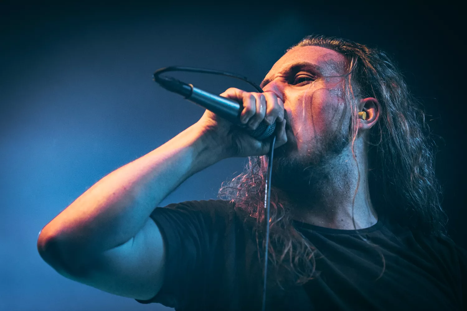 Himmelhøj glæde og kvalitet på Nordic Noise      