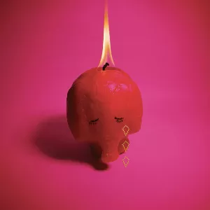 Pink Elephant - Arcade Fire