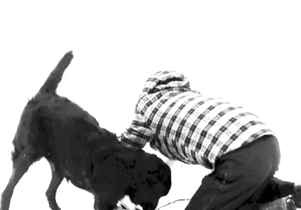 ''Jag känner en stor svart hund som heter Uffe''