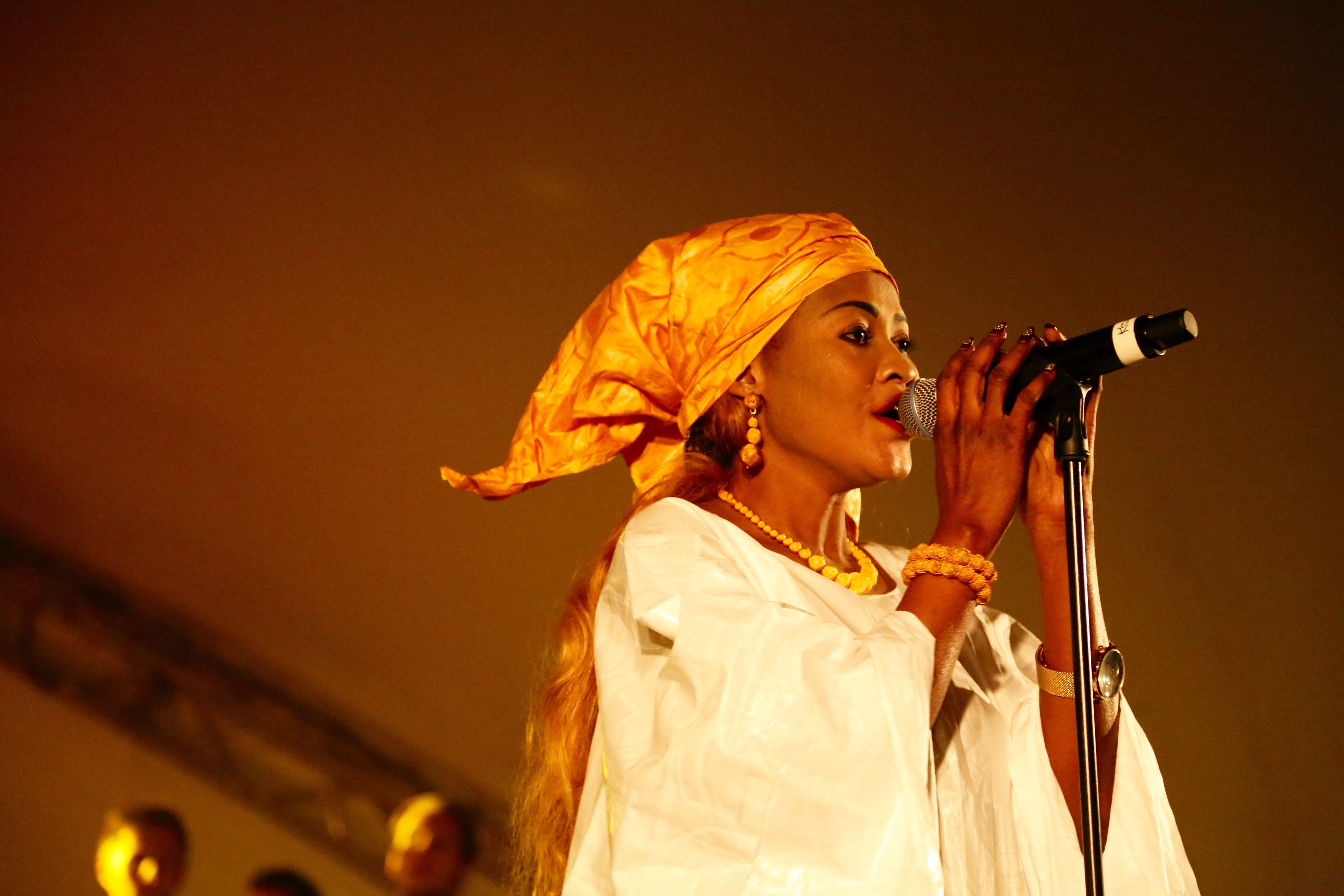 Aarhus Festuge, Mølleparken - Mali & Denmark goes Upside Down feat. Safi Diabate & Madou Sidiki Diabate
