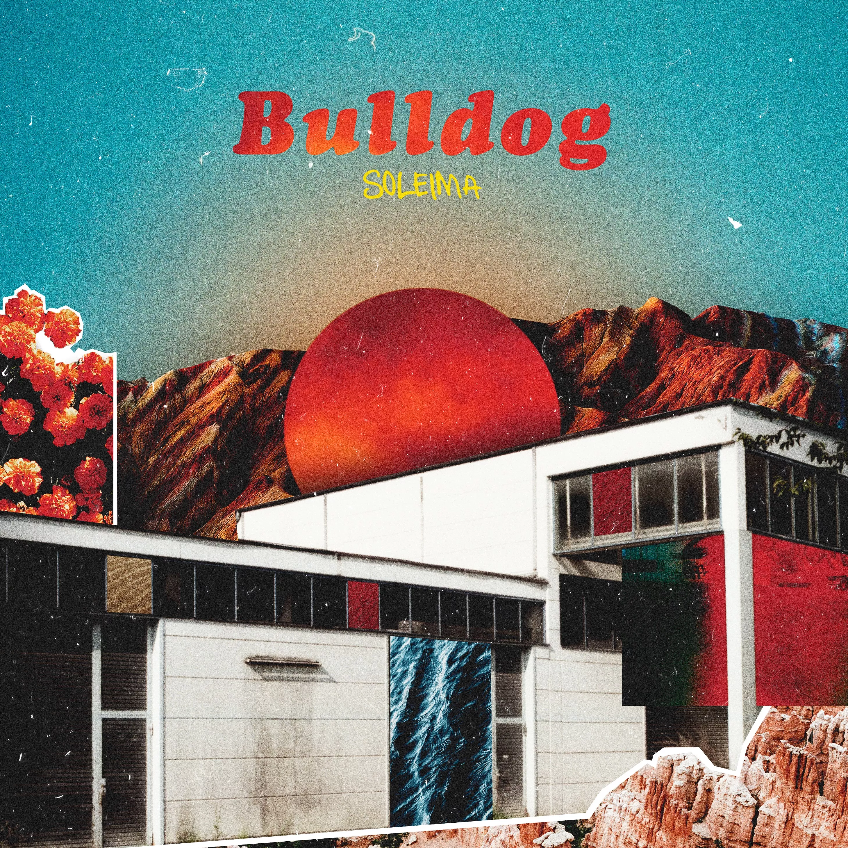 Bulldog - Soleima