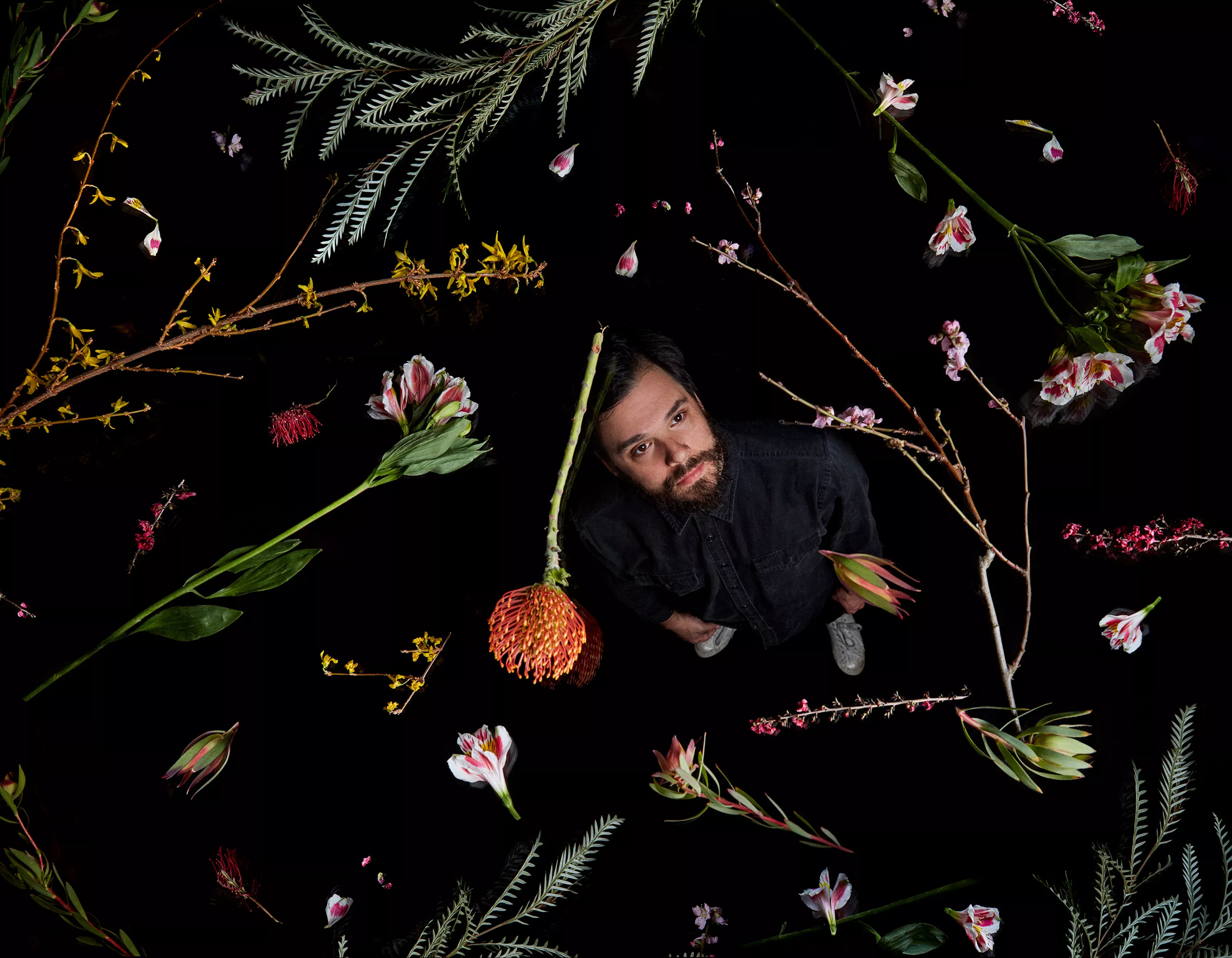 ANMELDELSE: Voldsomt indie