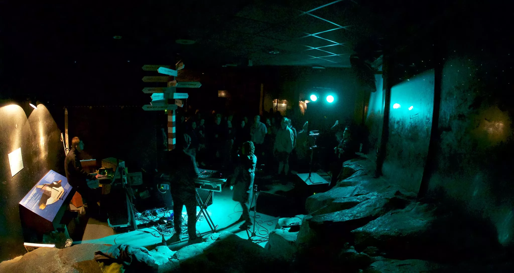 Saint Cava sætter strøm til pingvinland 