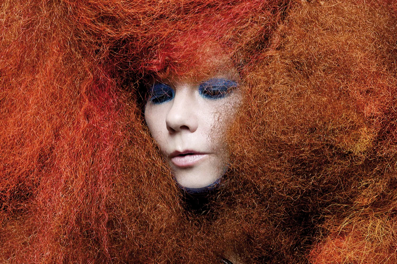 Björk til Roskilde