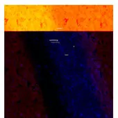 Something 3 Paul - Skanstull