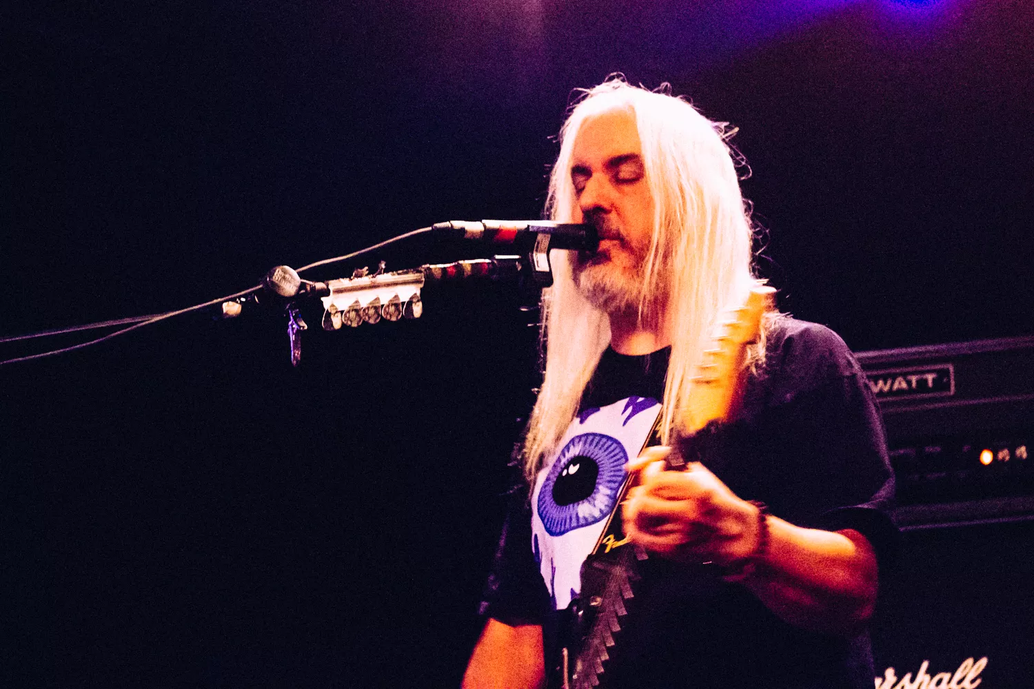 Dinosaurene lever fortsatt