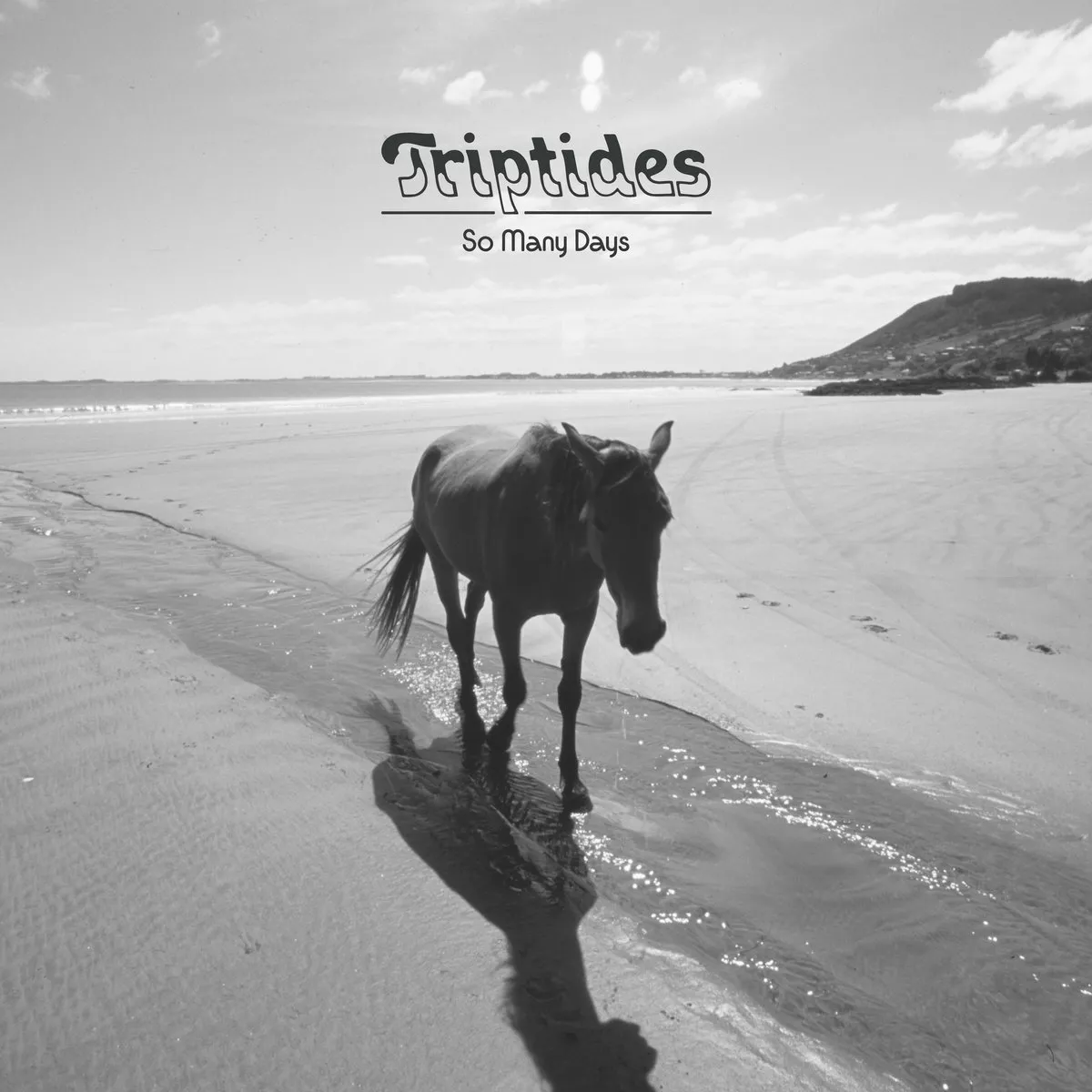 So Many Days - Triptides