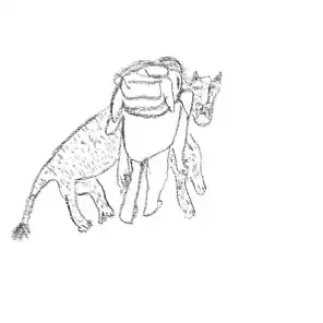 Worry Dam - Celtic Spider