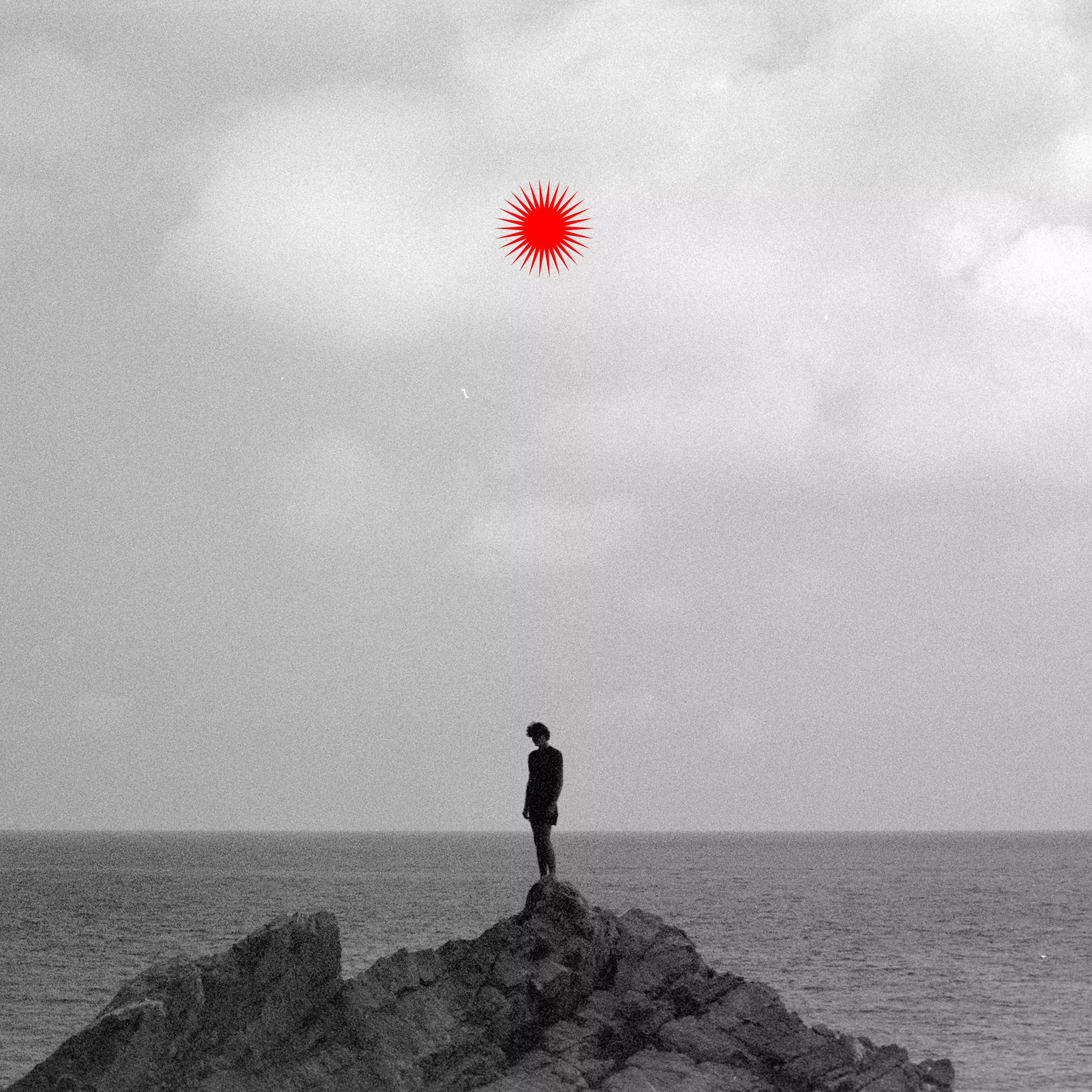 Tall Trees That Never Fell - Mei River