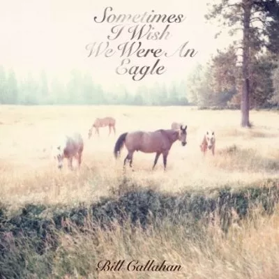 Sometimes I Wish We Were An Eagle - Bill Callahan