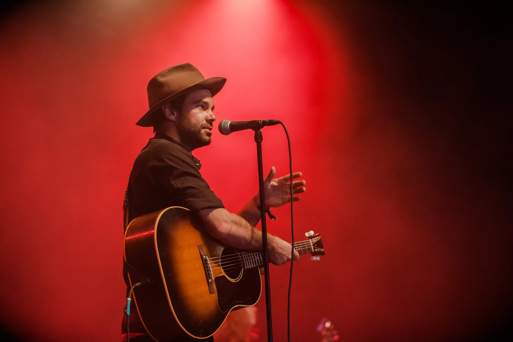 Folk-pop for fulde gardiner på Brookyn-kvintettens firer