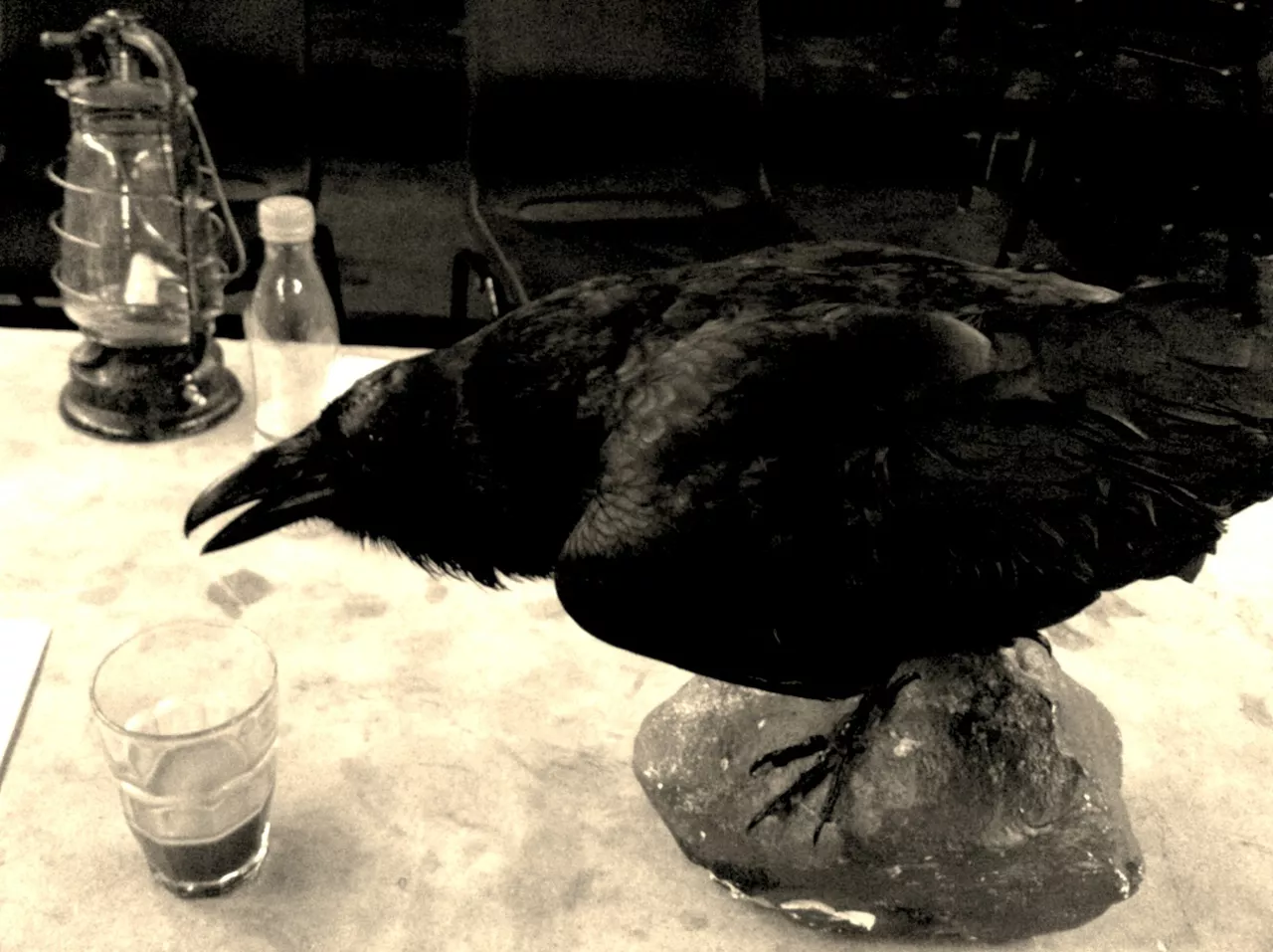 Dagbog om teaterkoncerten The Raven kapitel 2