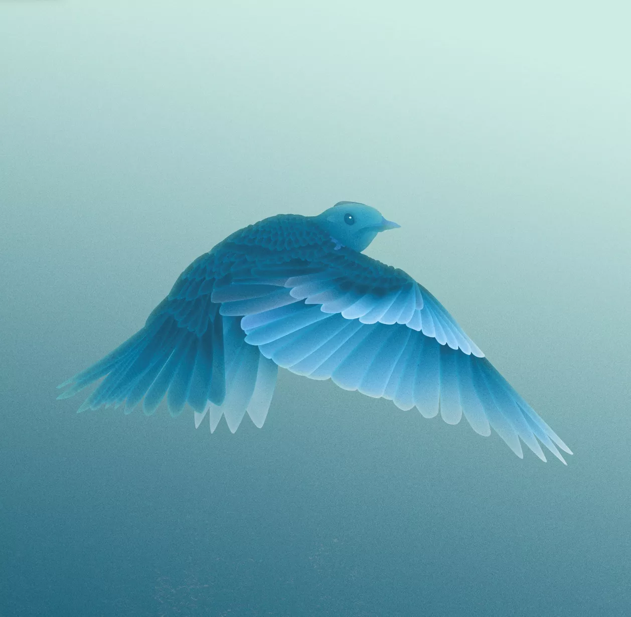 Forandring, please!? - Knægt 