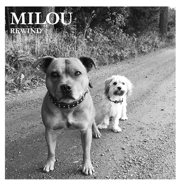 Rewind - Milou