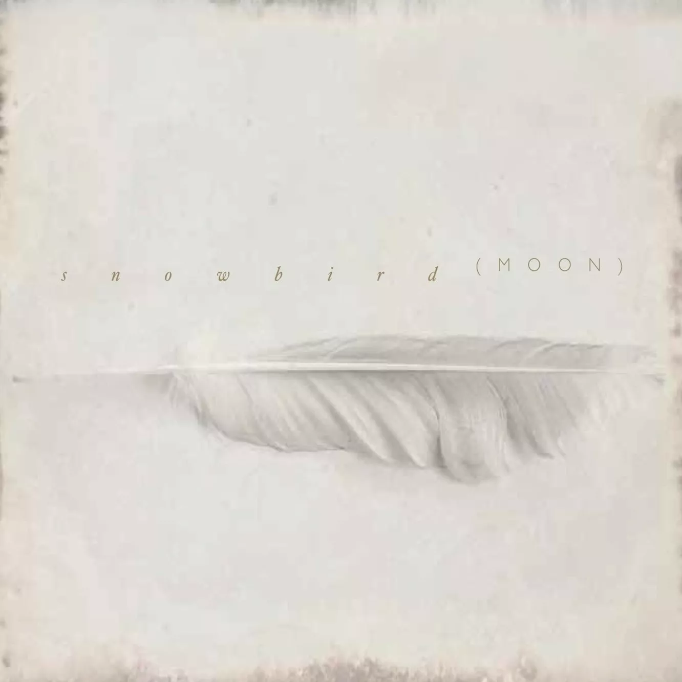 Moon - Snowbird