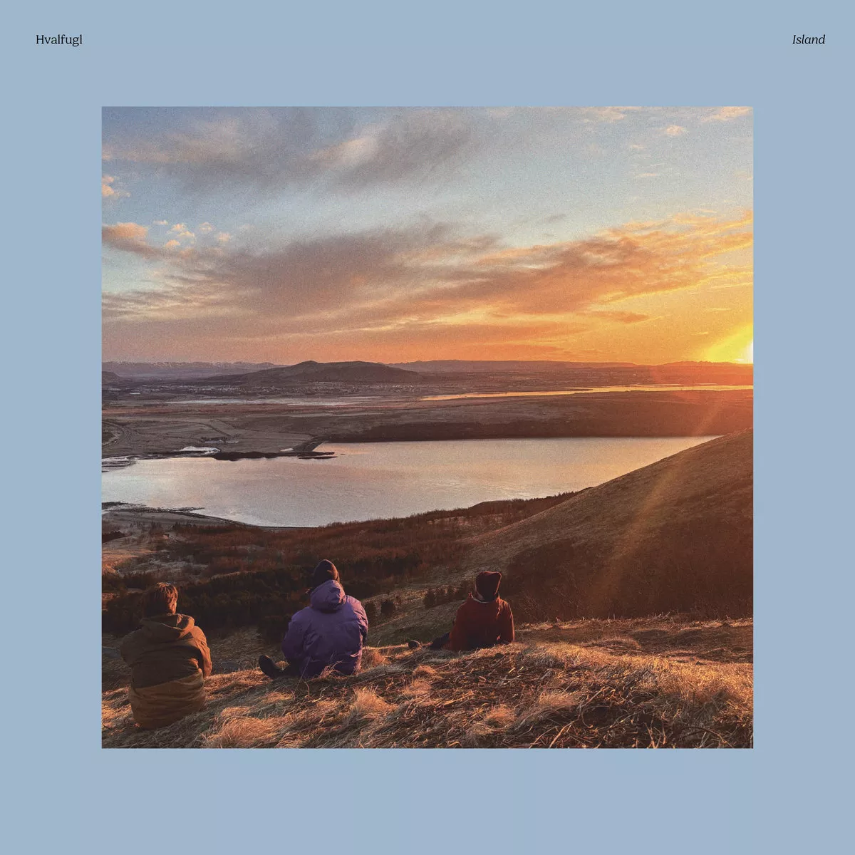 Island - Hvalfugl