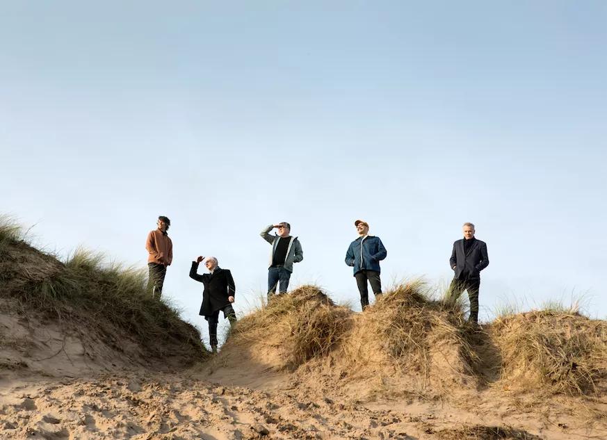 Tobenet hest i rent trav