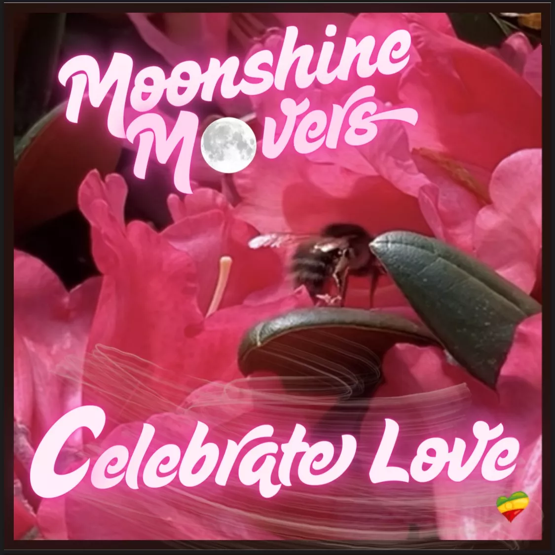 Celebrate Love - Moonshine Movers