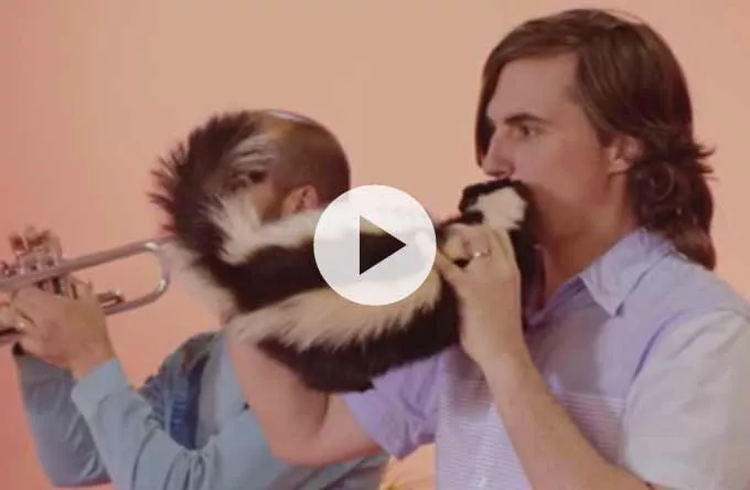 Ny video: Beirut spiller på stinkdyr