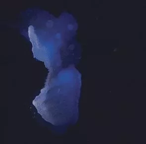 Vesper - Niels Lyhne Løkkegaard