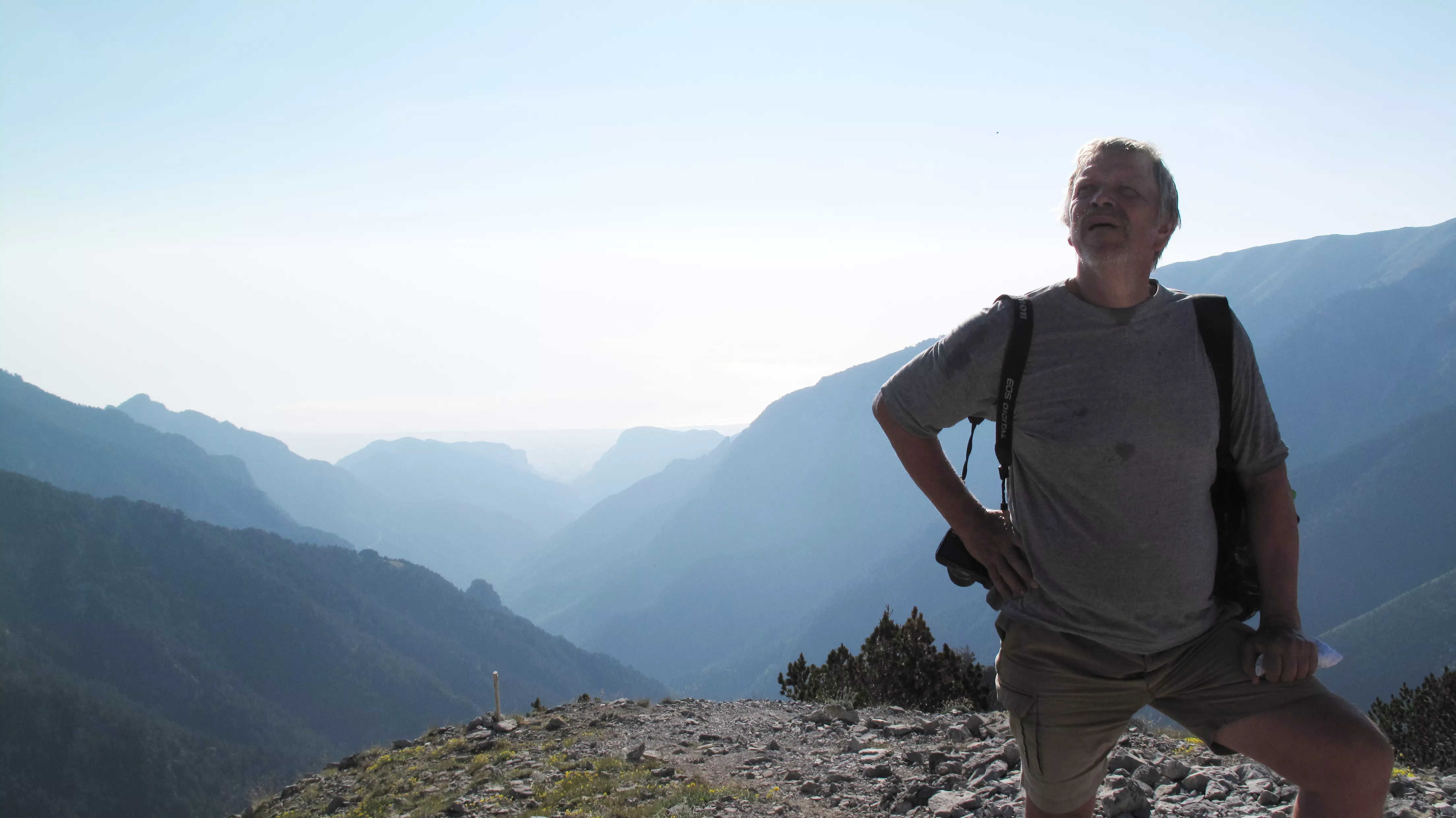 GAFFAs rockanmelder: Det skal du høre på Roskilde