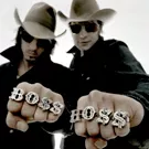 The BossHoss til Danmark