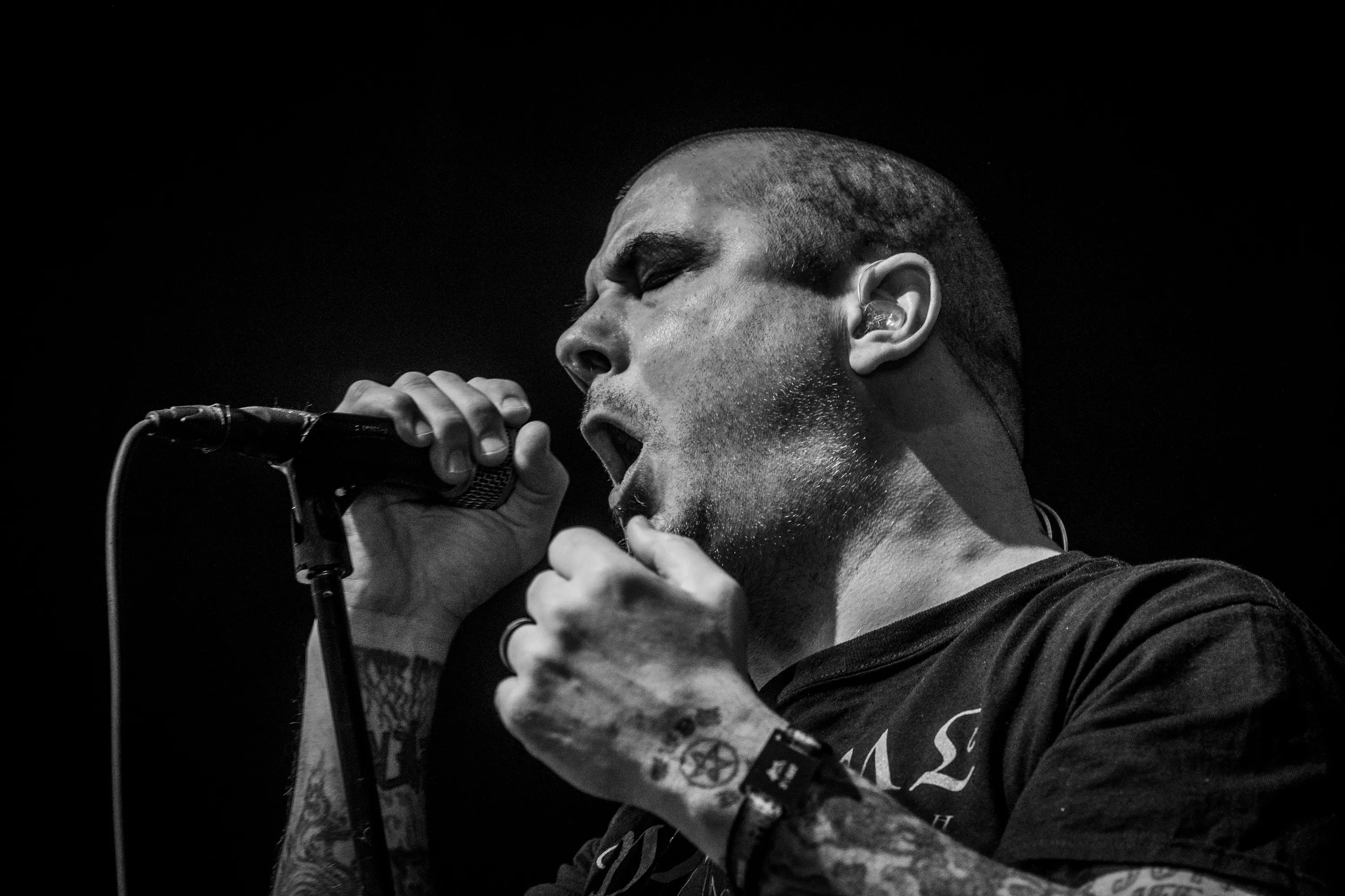 Pantera återförenas