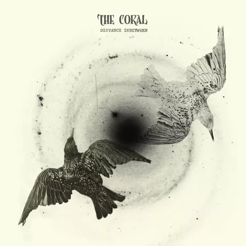 Distance Inbetween - The Coral