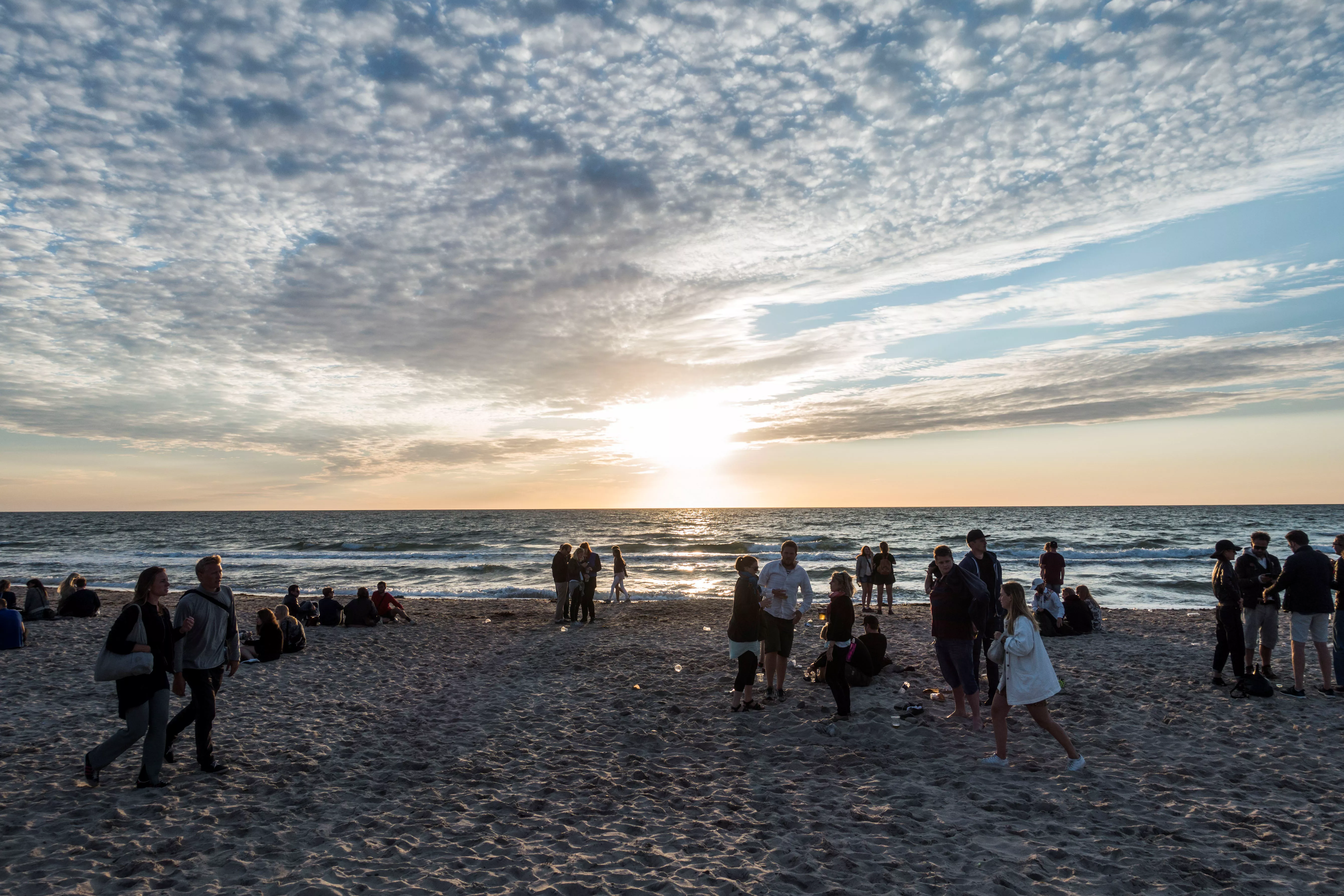 Musik i Lejet: Vi er en festival, der interagerer med sine omgivelser