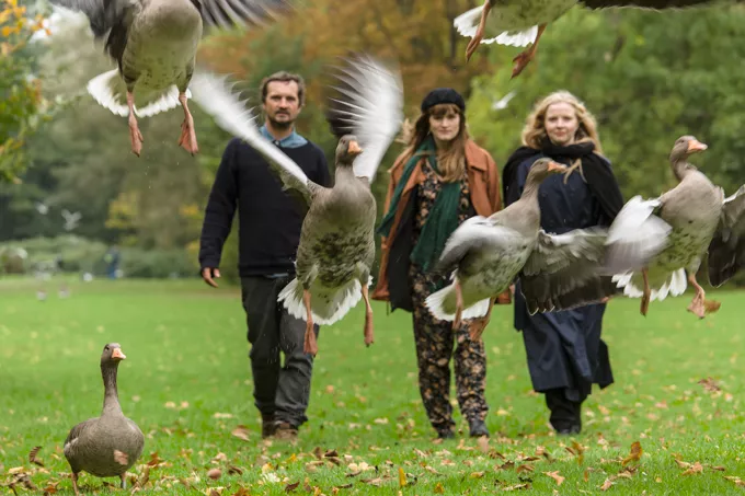 Fuglene kvidrer før Tina Dickow til GAFFA Library Sessions