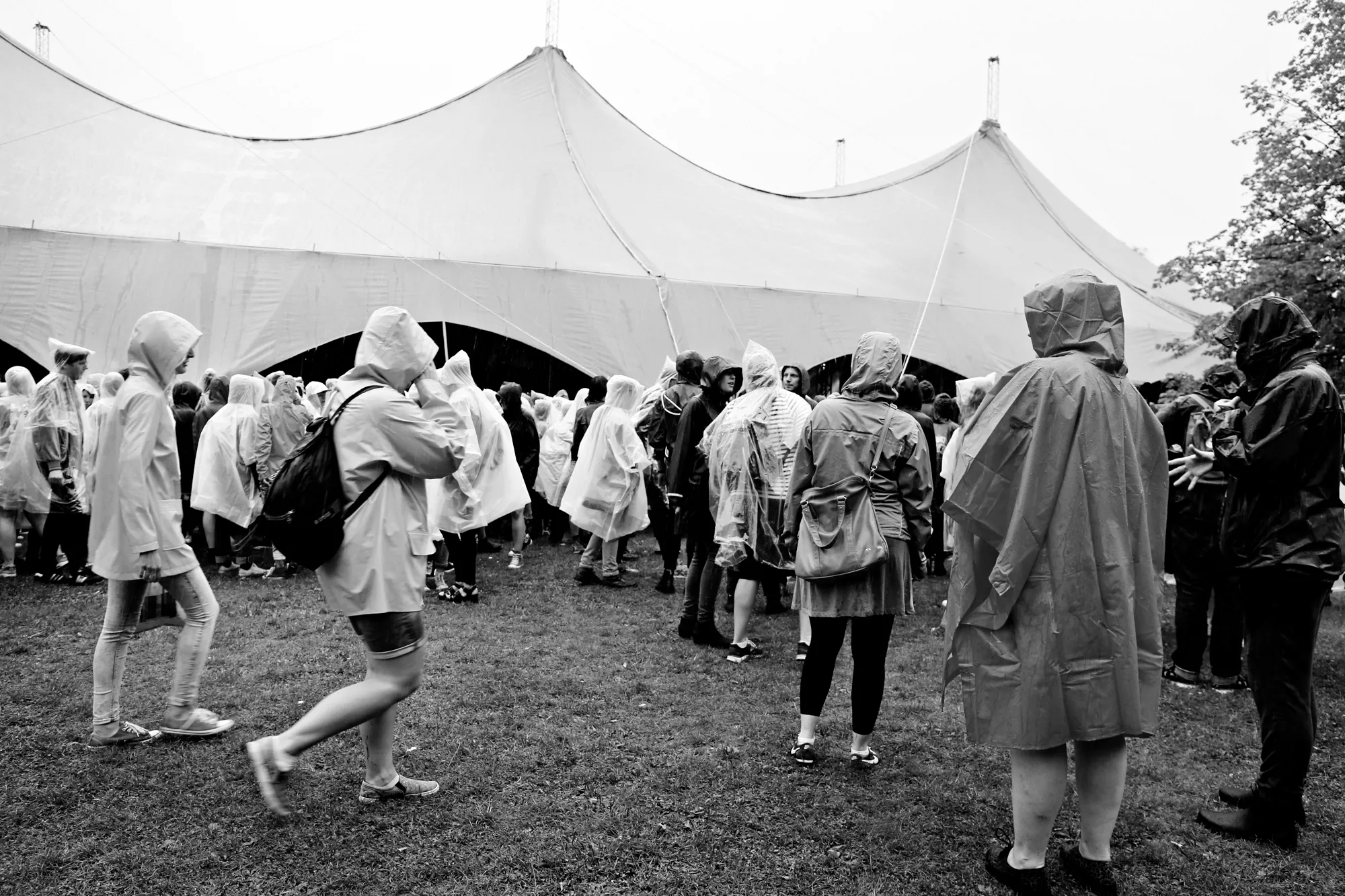 Way Out West släpper filmprogram