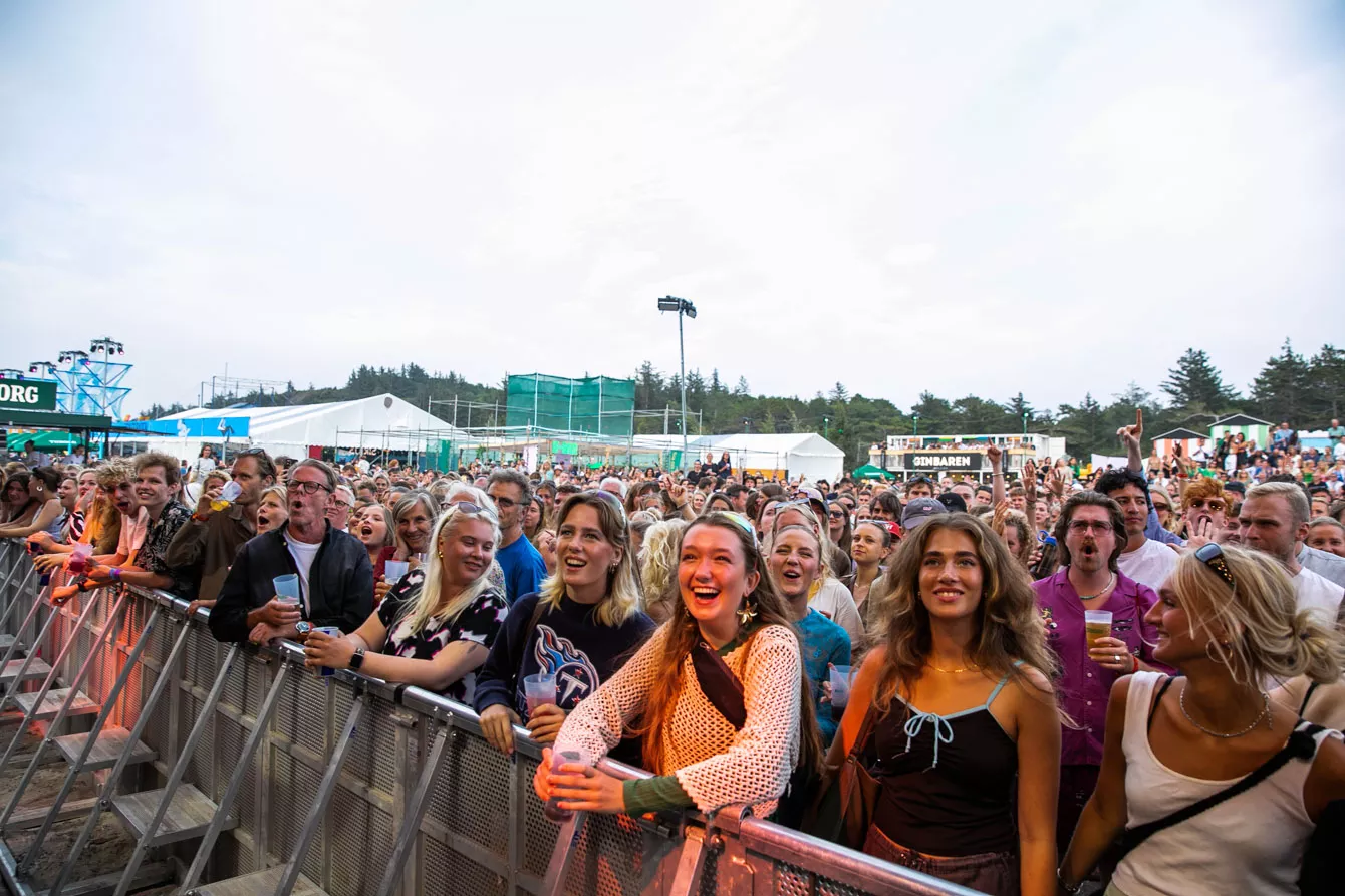 KULTURVANEUNDERSØGELSE: Hvis du du er vild med at gå på museum, er du formentlig også flittig kulturforbruger 